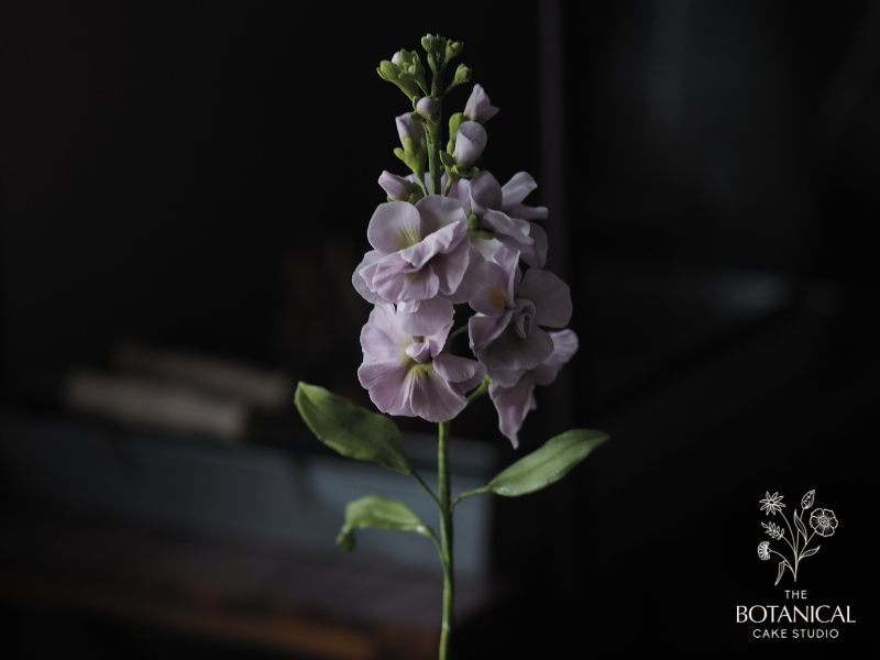 lilac stock sugar flower gumpaste flower tutorial