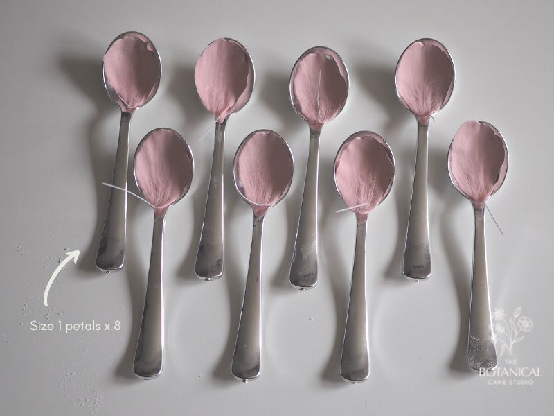 Size 1 gumpaste peony petals x 8
