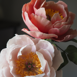 Coral Charm peony templates