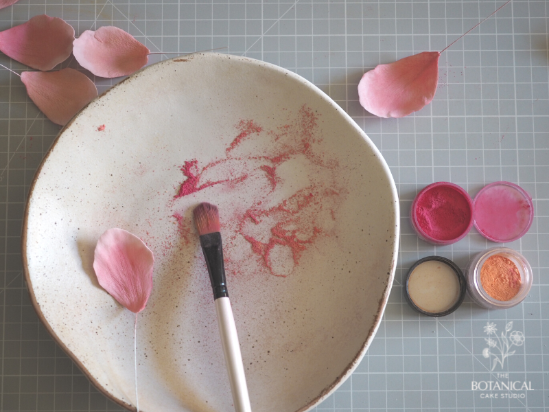 Dusting the gumpaste coral charm peony sugar flower petals with petal dust