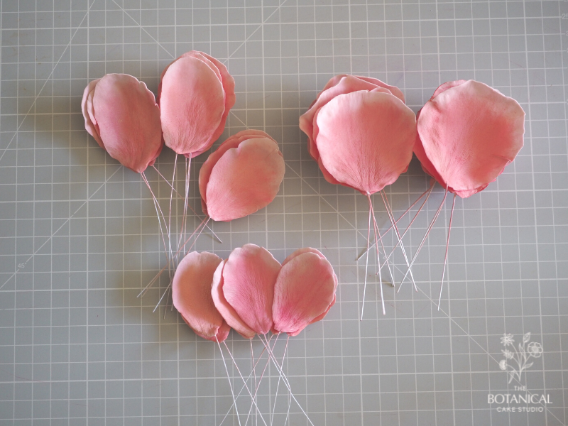 All of the gumpaste coral charm peony sugar flower petals ready for assembly