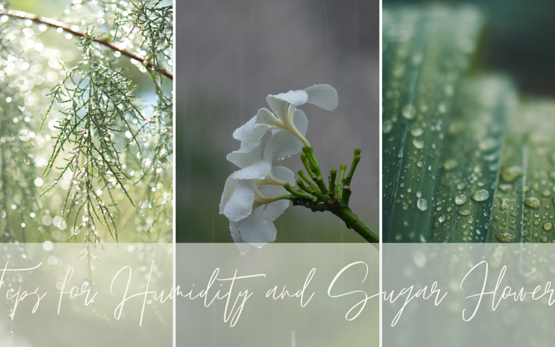 Tips for Humidity and Sugar Flowers