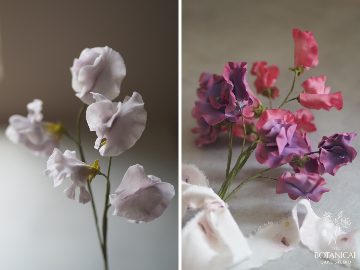 Gumpaste lilac sweet pea sugar flowers, a posy of pink and purple sweet pea sugar flowers with a hand-dyed silk ribbon