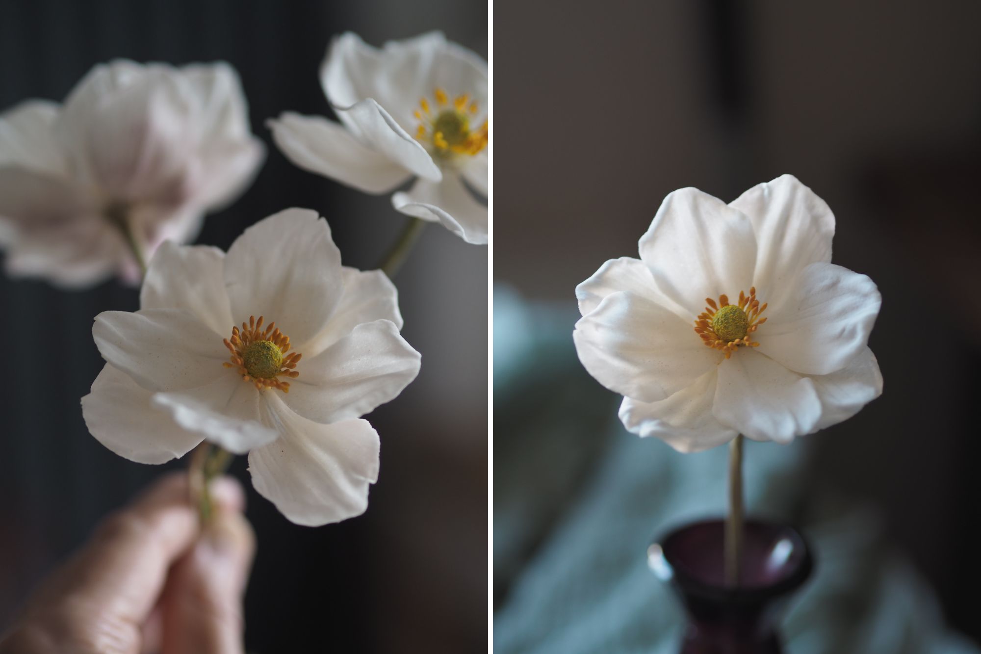 white japanese anemone sugar flowers against a dark background