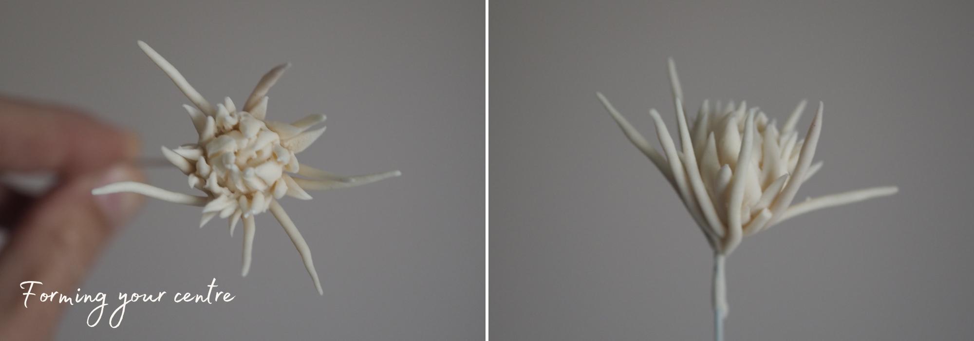 Forming the centre of your clematis