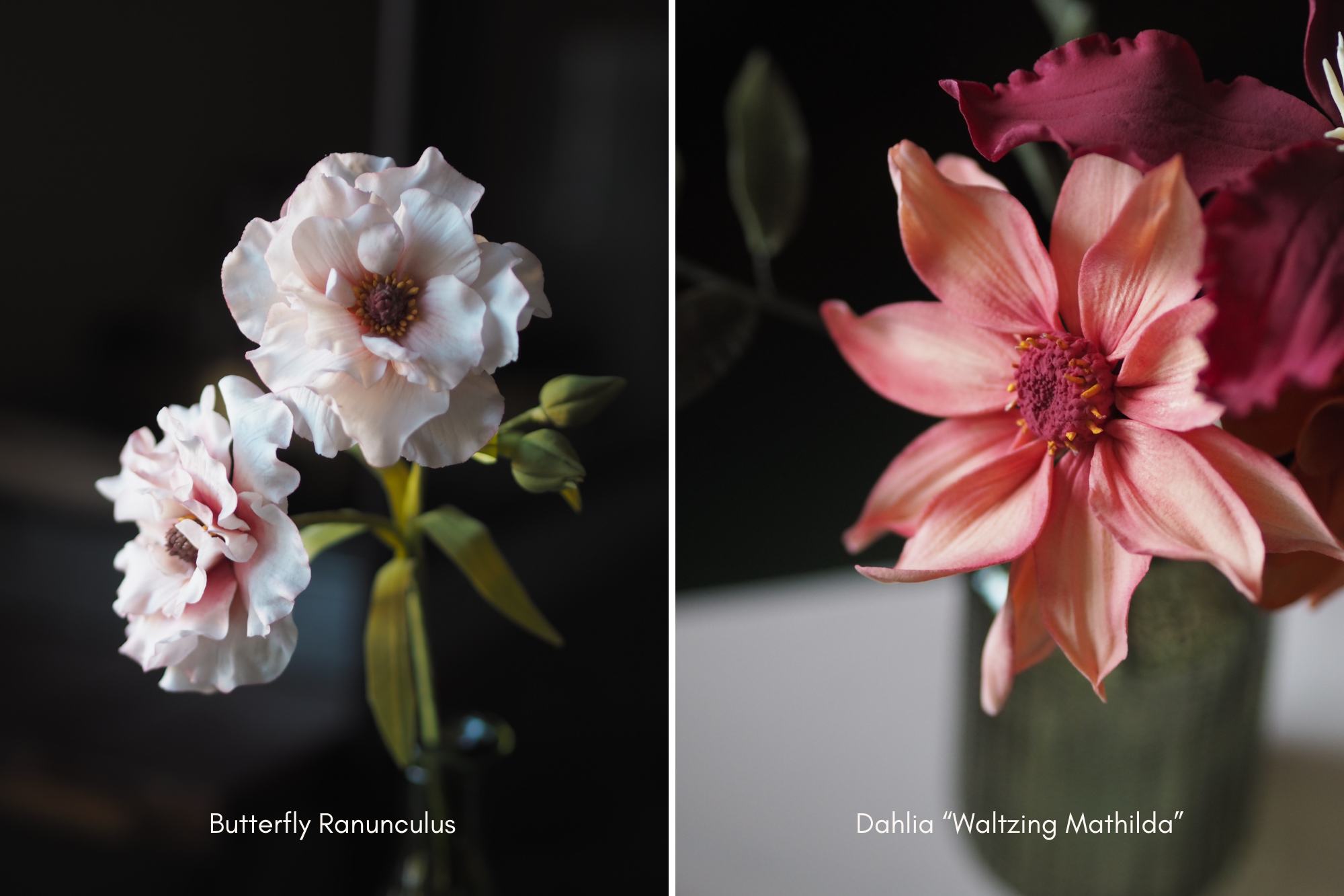 pale pink butterfly ranunculus sugar flower stem, pink and peach dahlia waltzing mathilda sugar flower