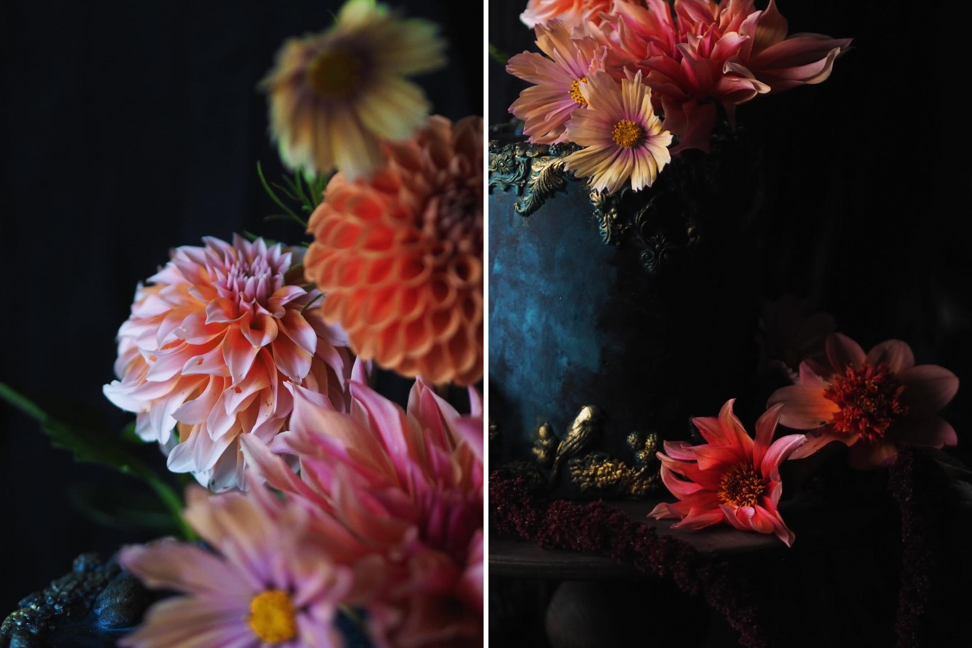 Dahlia "Peaches", "Cornel Brons", "Waltzing Mathilda", "Labyrith" + Cosmos "Apricotta" + "Apricot Lemonade" against a dark moody background