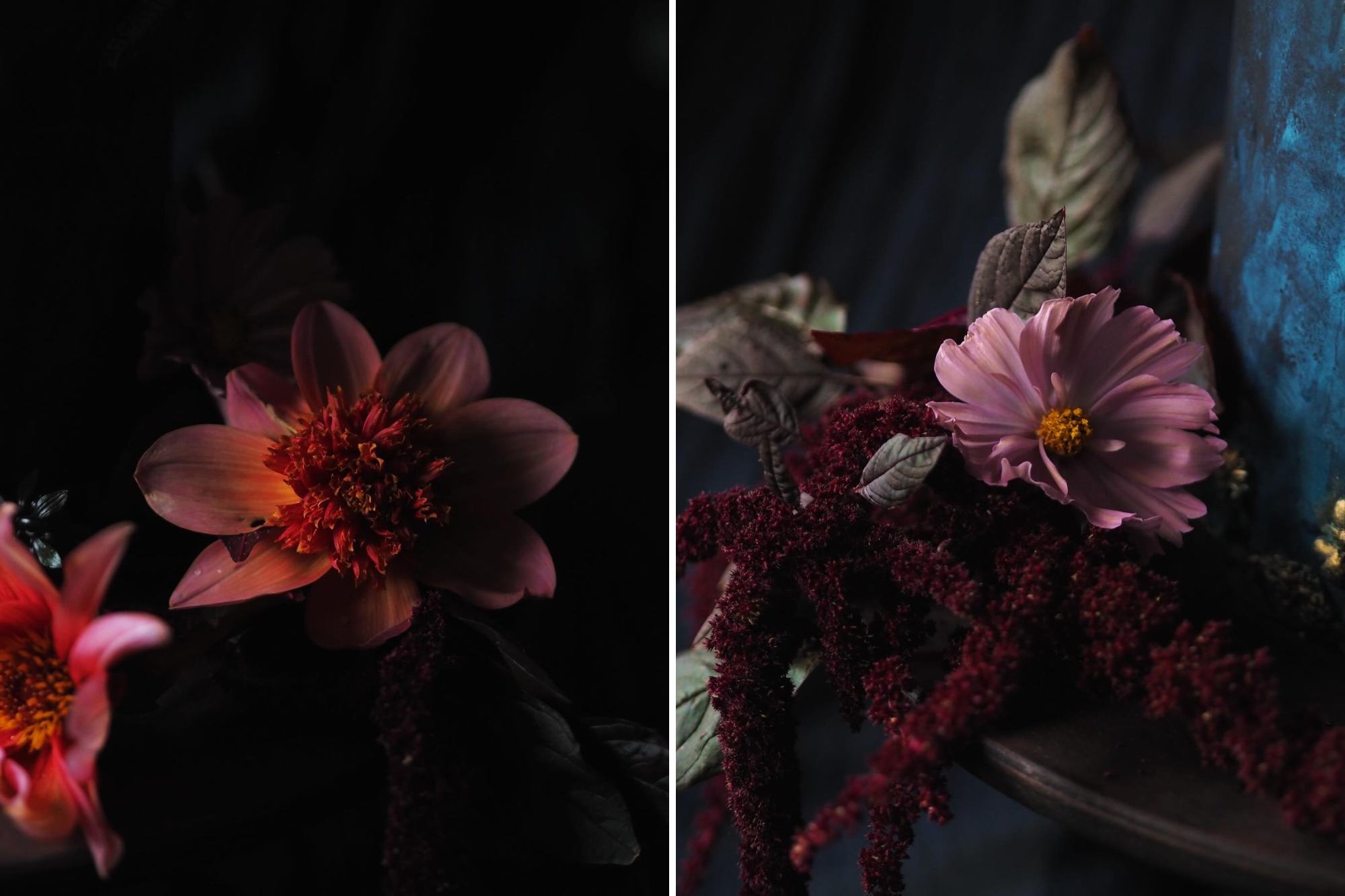 Dahlia "Waltzing Mathilda" and "Totally Tangerine" against a dark background + Cosmos "Apricotta" and Amaranthus "Red Army"