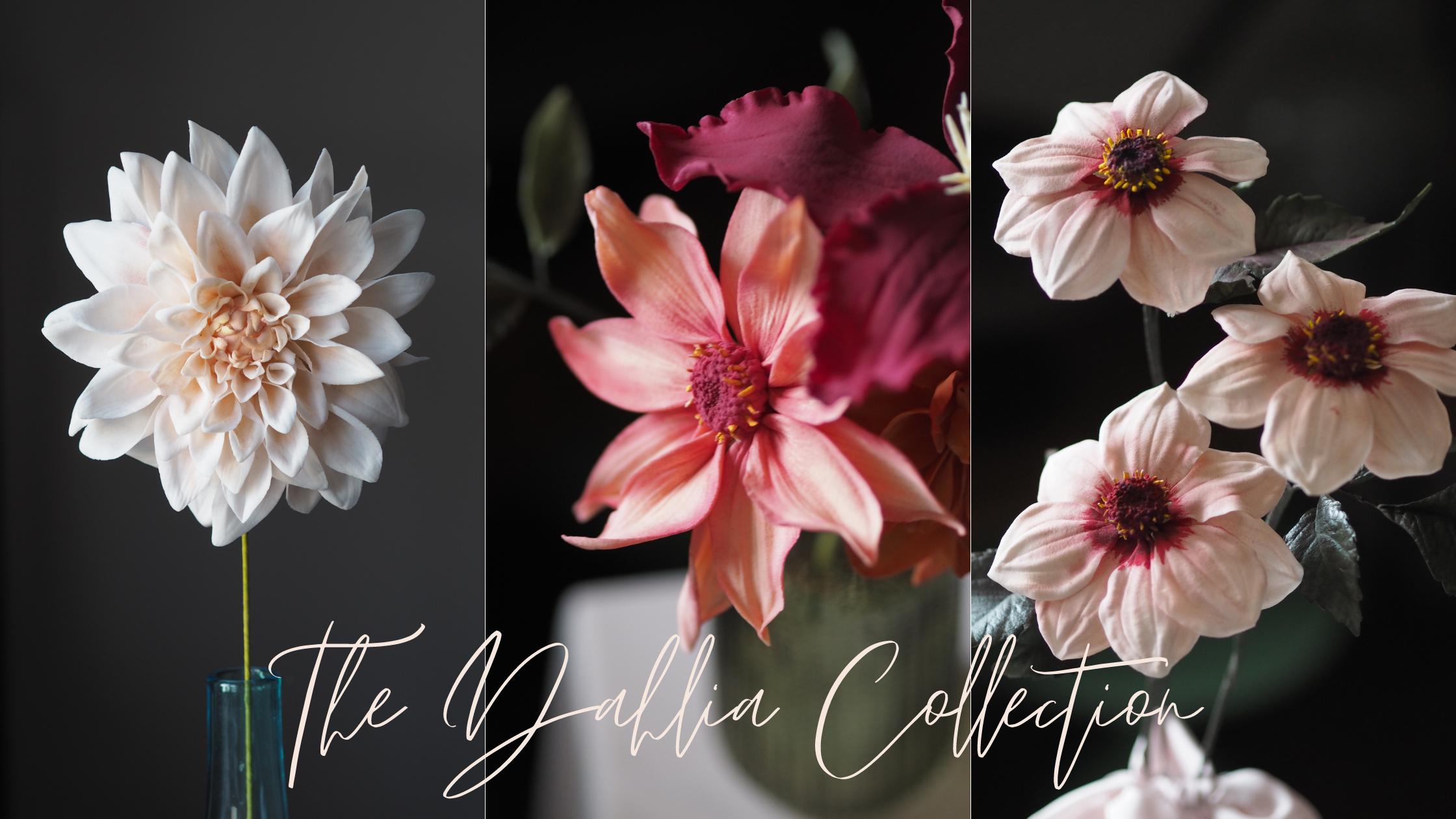 the dahlia sugar flower collection with cafe au lait, waltzing mathilda and happy single kiss against a dark background