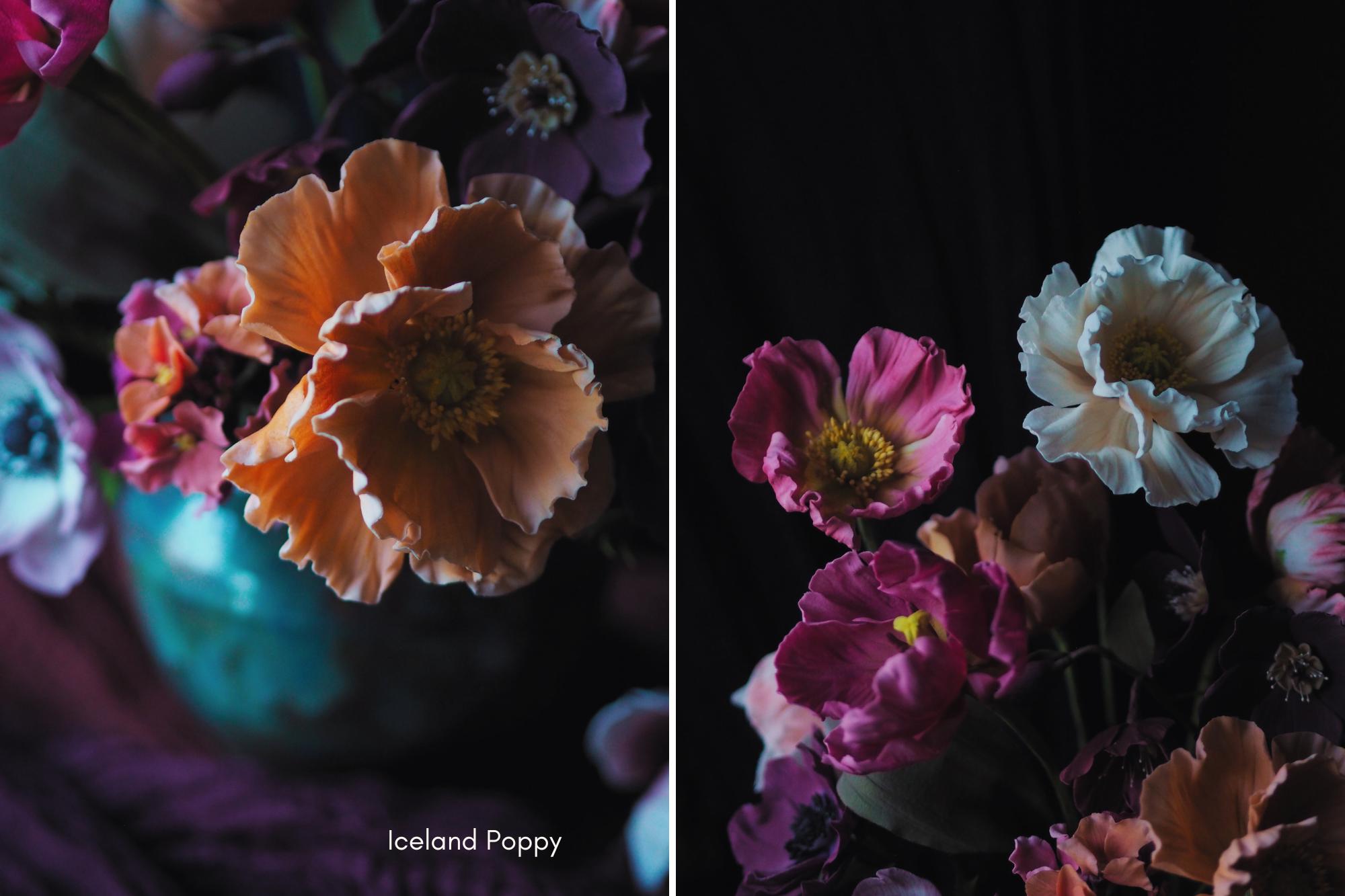 Iceland poppies sugar flower workshop in orange pink and cream