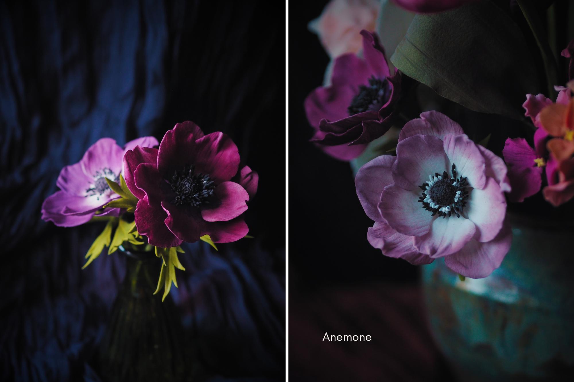 Purple anemone mistral sugar flowers against a dark background