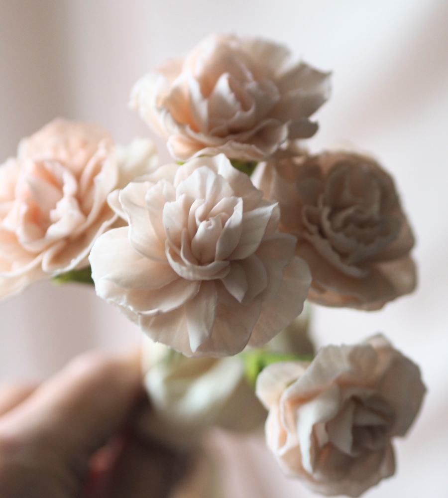 A bunch of pale pink carnation sugar flowers with silk ribbon against a blush background