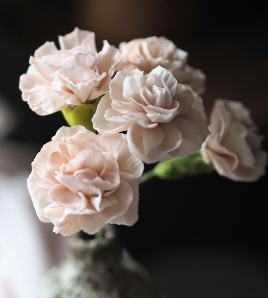 A vase of pale pink gum paste carnations sugar flowers against a dark background