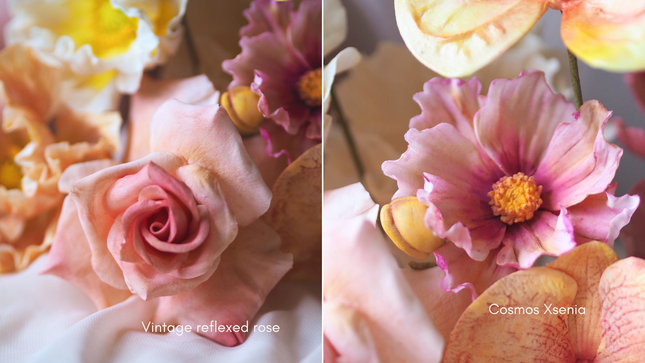Colourful sugar flowers including vintage reflexed rose in pink and pink watercolour cosmos xsenia
