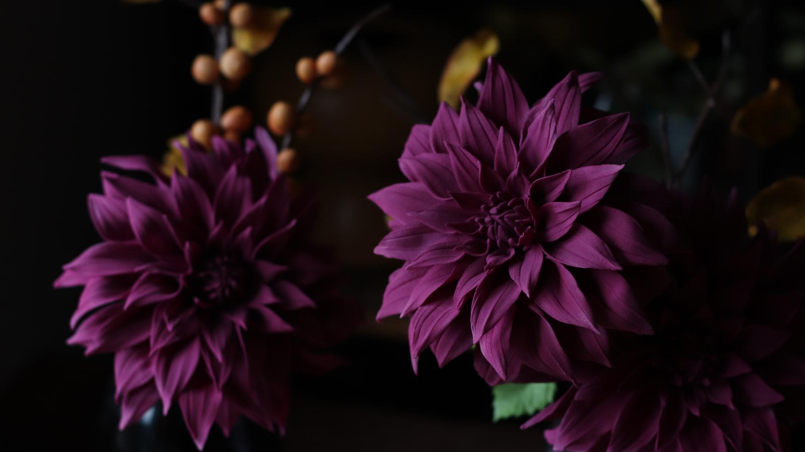 a deep lilac dahlia against a dark background with peach coloured autumn berries and yellow foliage