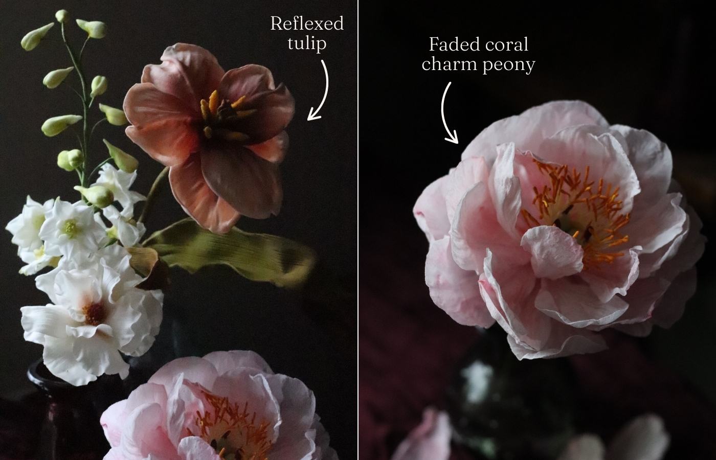a reflexed brown tulip sugar flowers, white larkspur sugar flower, white butterfly ranunculus sugar flower and faded coral charm wafer paper flower against a dark background
