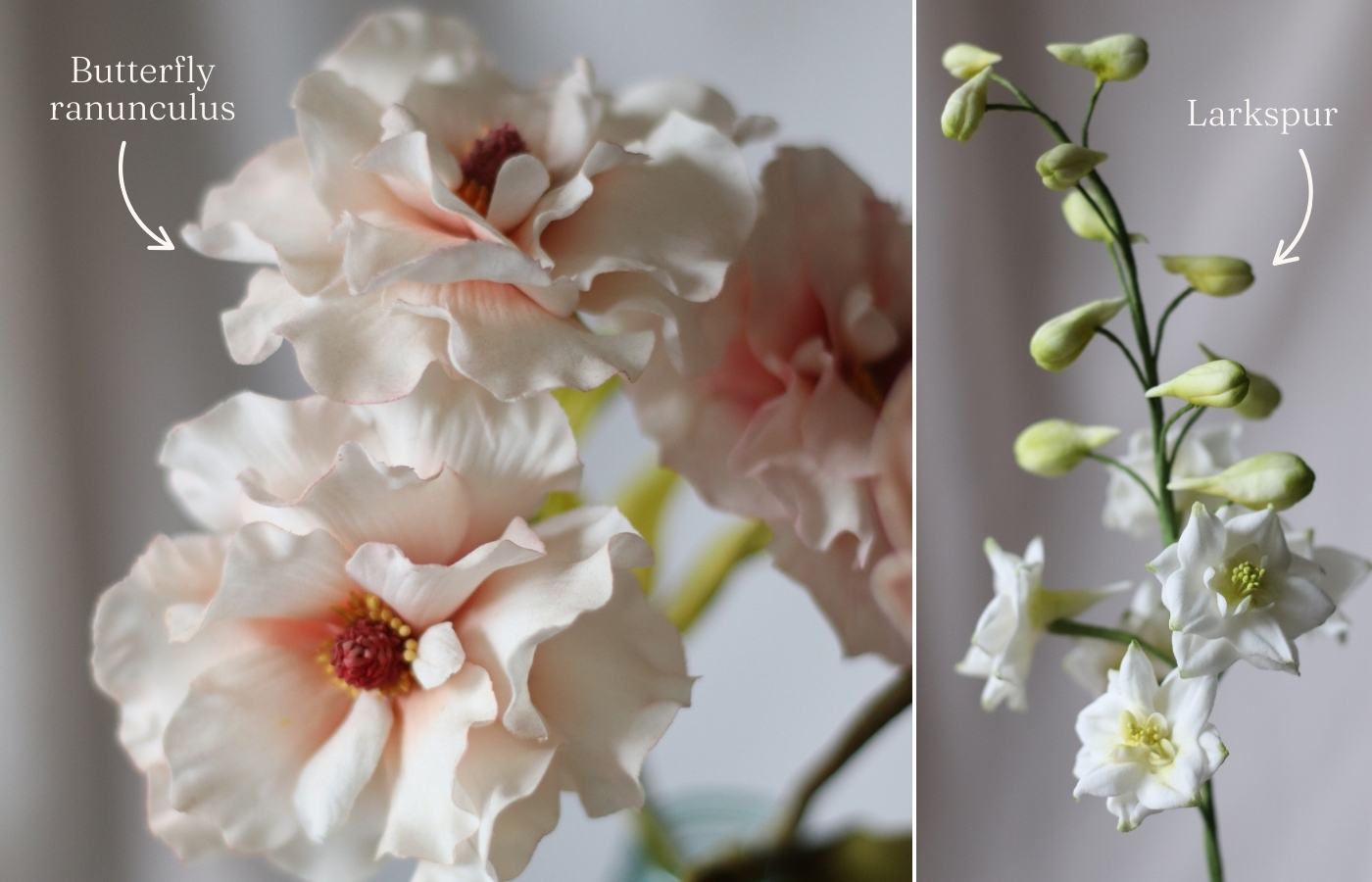 white and blush butterfly ranunculus and white larkspur sugar flowers