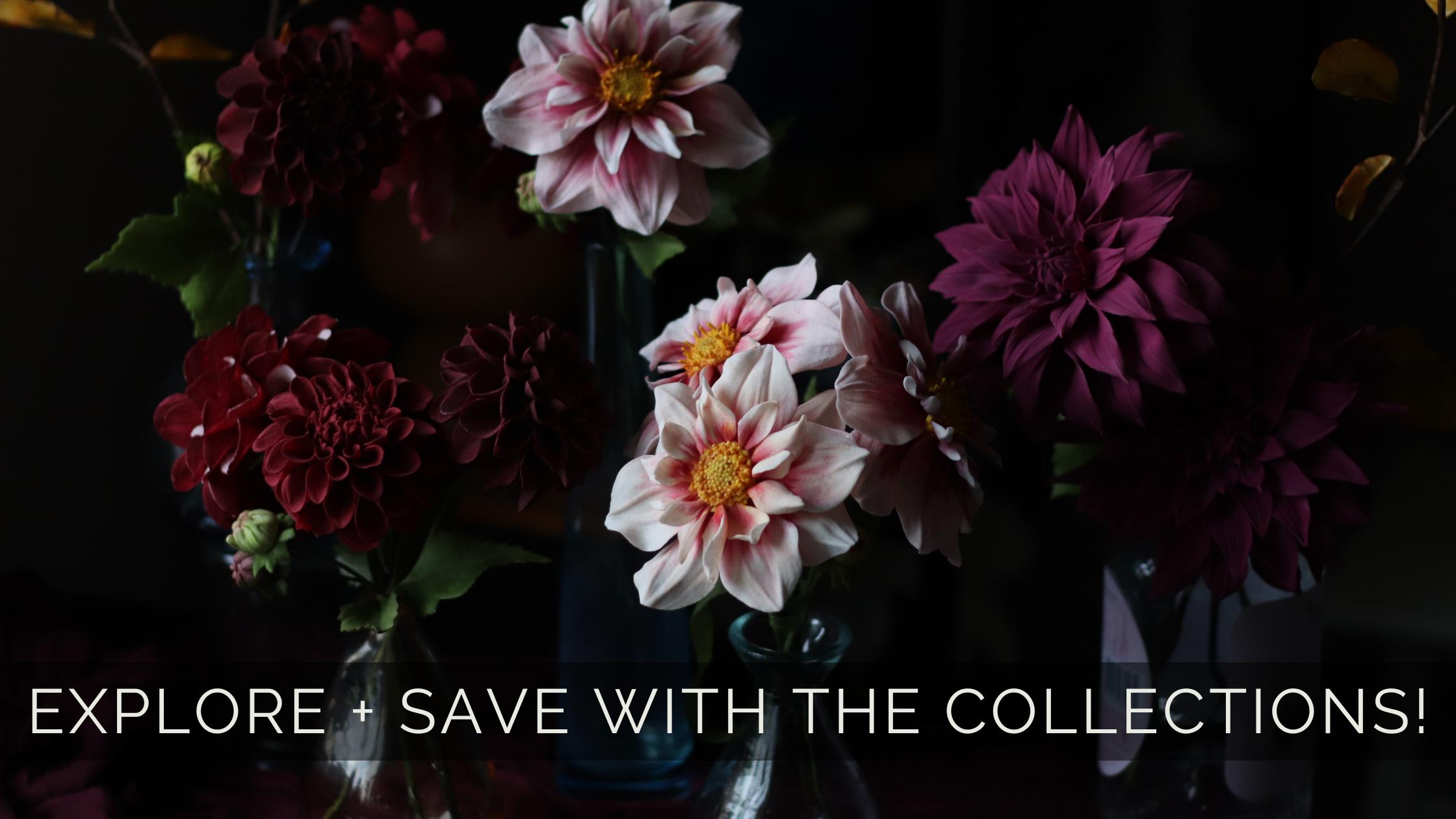 A collection of dahlia sugar flowers against a dark background including burgundy pom pom dahlias, pale pink rhubarb + custard dahlias and deep lilac dahlias with a text overlay of "explore + save with the collections"