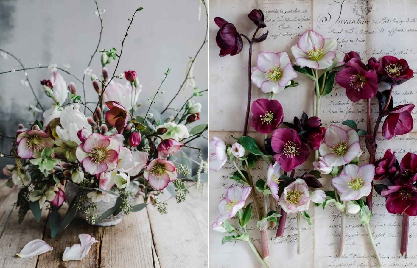 A spring hellebore arrangement of hellebores, white tulips and blossom branches; a flatlay of hellebores in white, pink and burgundy on a script background