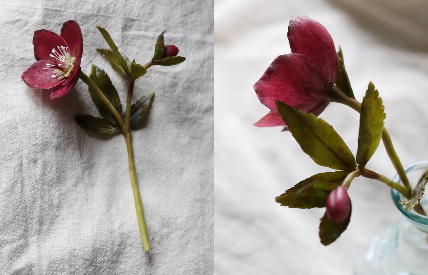 A burgundy hellebore crafted from cold porcelain clay lying on a neutral table cloth
