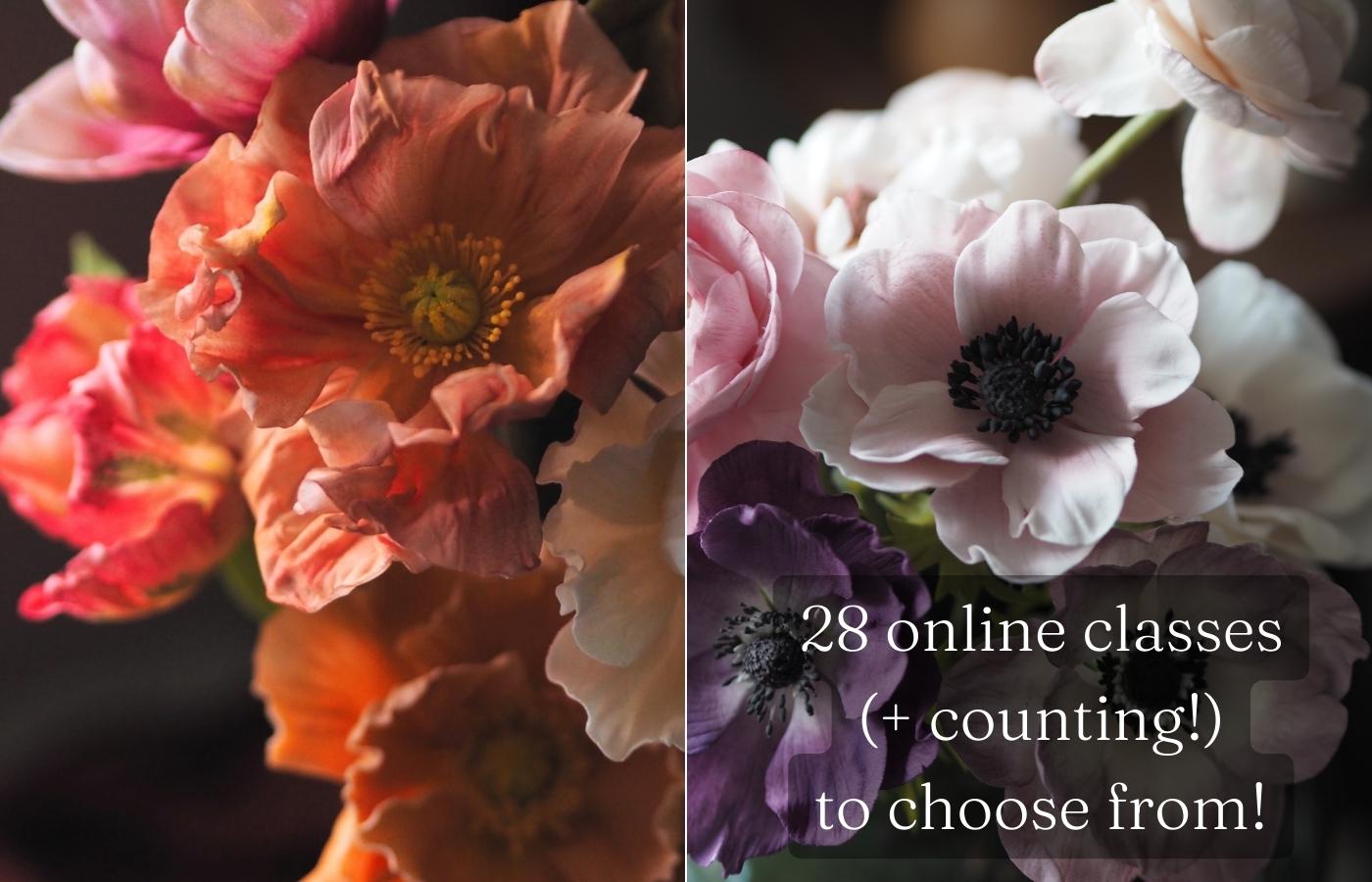 an orange iceland poppy sugar flower against a dark background and a blush anemone mistral sugar flowers with writing overlay of 28 online classes (+counting) to choose from