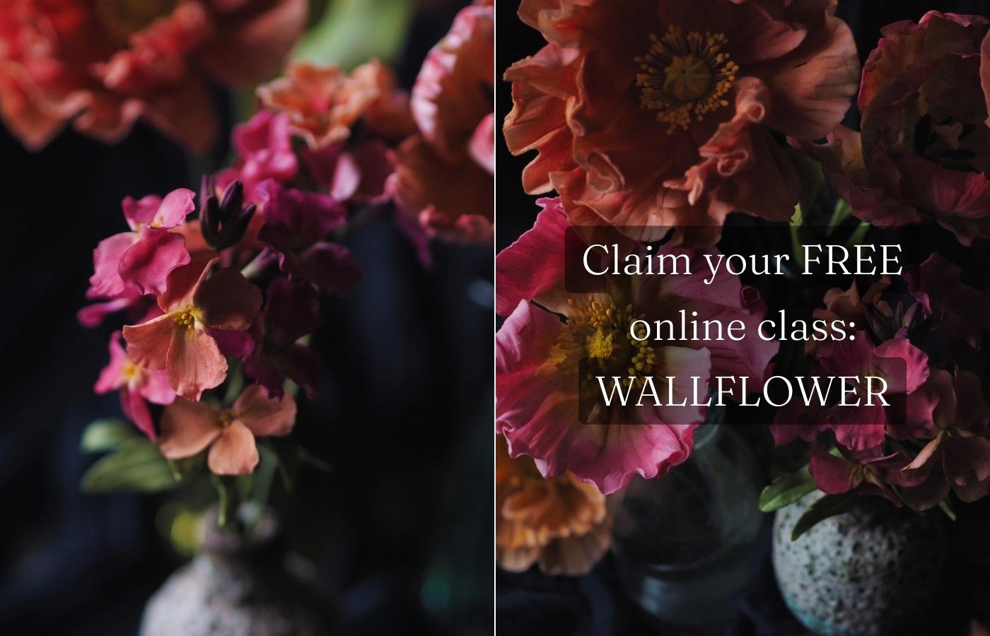 pink and orange wallflower sugar flowers in a vase + an orange iceland poppy with writing overlay: Claim your free online class: wallflower