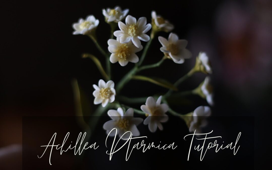 Gumpaste Achillea Ptarmica Tutorial